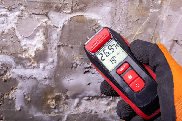 Best Toxic Mold Removal  in Cicero, IN