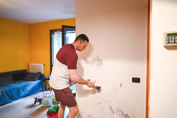 Best Commercial Mold Removal  in Cicero, IN